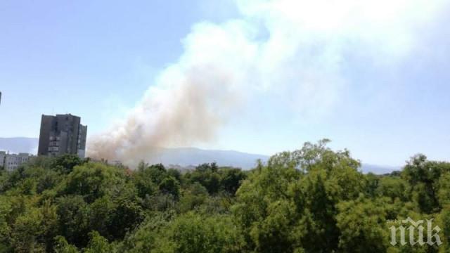 Голям горски пожар бушува в Бургаско (СНИМКИ)