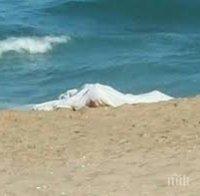 ТРАГЕДИЯТА Е ГОЛЯМА: Намериха тялото на завлечената от мъртвото вълнение в Китен Рамира