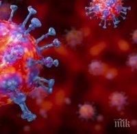 ПАНДЕМИЯ! Активните в момента случаи на коронавирус в света са над 7 милиона