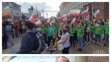 "Хиполенд" - детмаг или машина за протести