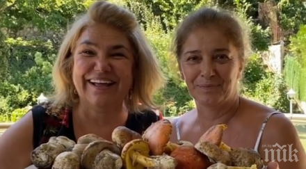 фенове спадяват марта вачкова катето евро отровни гъби