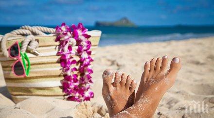 одраха французин 1000 евро заради бутилка пясък сардиния