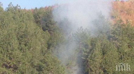 задържаха годишен пироман заради палеж гора
