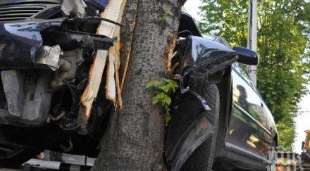 черна неделя съединение годишен шофьор загуби живота зверски удар дърво