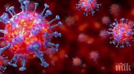 пандемия активните момента случаи коронавирус света милиона