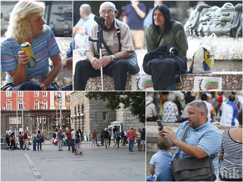 Протестът на жълтите книжки съвсем оредя - неадекватни хора се събраха на бира и сладка раздумка (СНИМКИ)