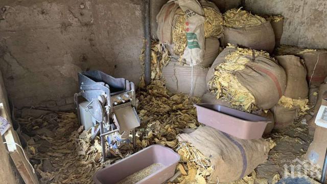 Разбиха нелегална фабрика за тютюн край Пловдив 