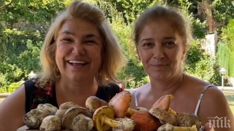 Фенове спадяват Марта Вачкова и Катето Евро от отровни гъби 