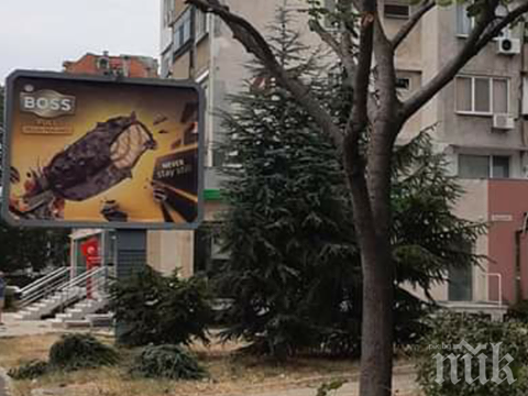 Идиоти, сър: Бургазлии отрязаха борчета, за да не пречат на билборд