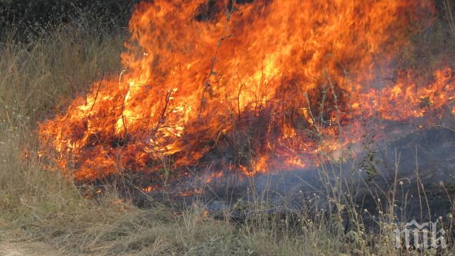 В седем области в страната е обявена екстремна опасност от пожари утре (КАРТА)