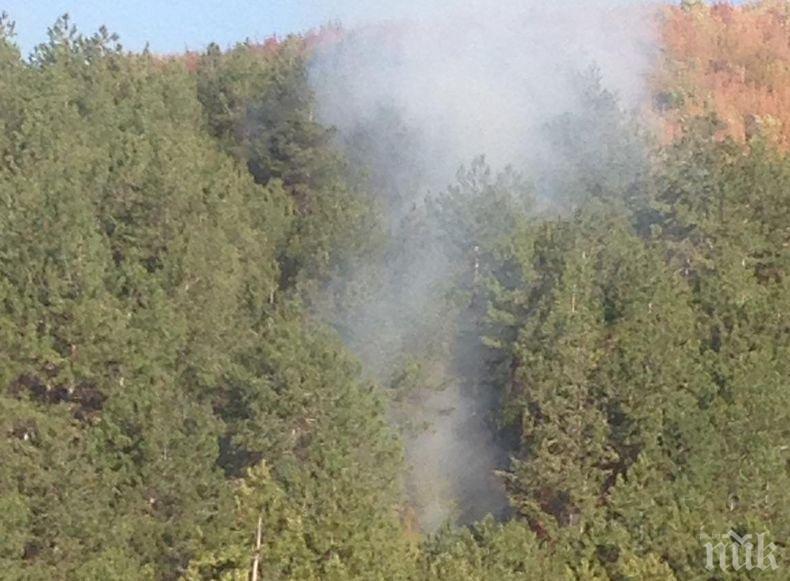 Задържаха 16-годишен пироман заради палеж на гора 