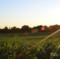 Изплащат 400 хил. лв. обезщетения на земеделците, пострадали от пожарите в Хасковско