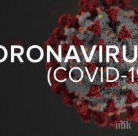248 новозаразени с коронавируса за денонощие в Гърция

 