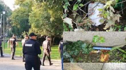 мълния пик сдвр гореща информация какви оръжия крили храсти шахти метежниците радев видео