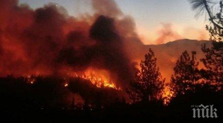 огнен млн хектара обхванати пожари три американски щата