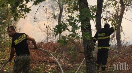 пожарът девин локализиран потушен