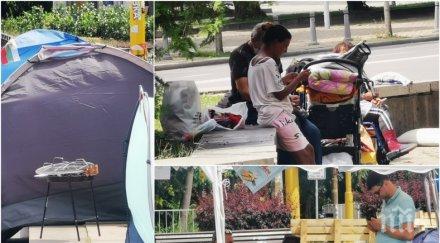 наглост катунарите радев христо иванов маджото просят парцалите орлов мост