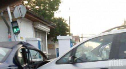 годишна дама мина червено сътвори голямо меле пловдив