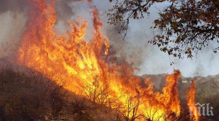 екстремален индекс пожароопасност сила области карта