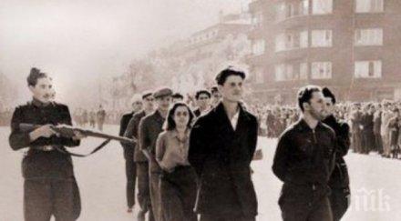 недялко недялков арест гадовете обявили нов народен съд гавра паметта хиляди убити червения терор