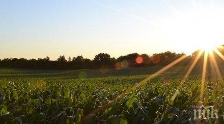 изплащат 400 хил обезщетения земеделците пострадали пожарите хасковско