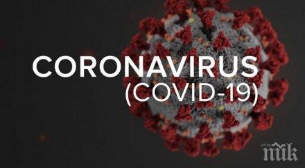 248 новозаразени коронавируса денонощие гърция