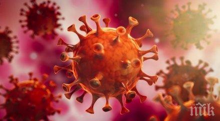 жертвите коронавируса сащ вече 190 000