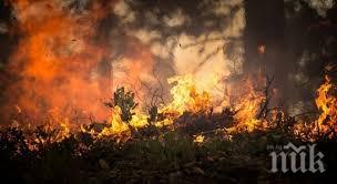 1200 декара гори пламнаха девин