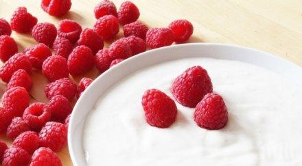 учени установиха пробиотиците йогурта намалят затлъстяването децата