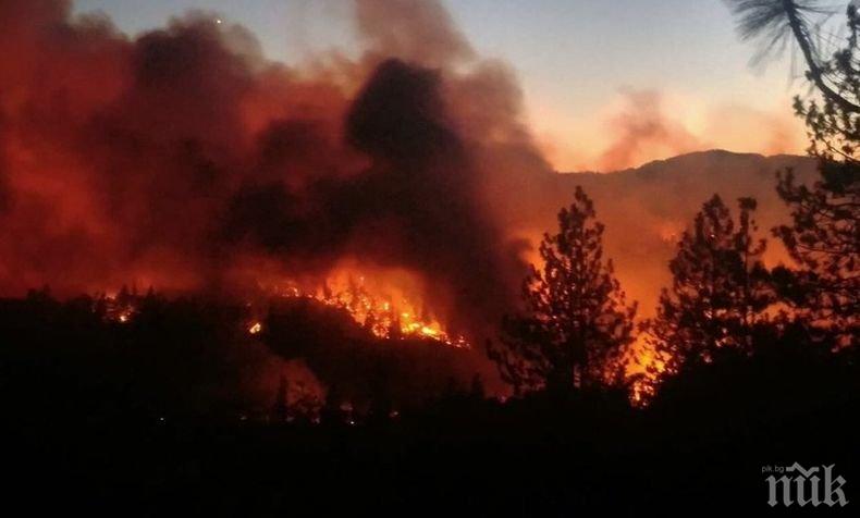 ОГНЕН АД: Над 1 млн. хектара са обхванати от пожари в три американски щата