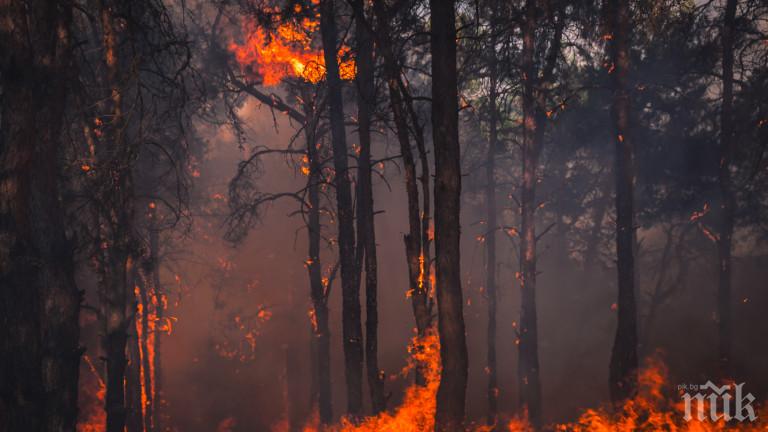 ОТ ПОСЛЕДНИТЕ МИНУТИ: Пожар лумна край Хисаря, търсят помощ от Пловдив