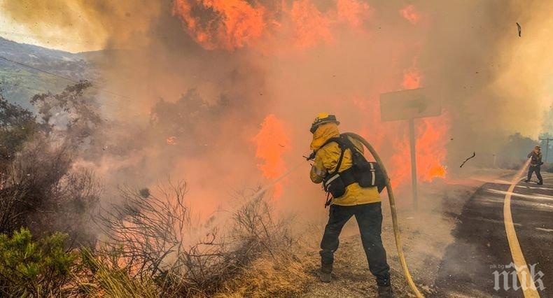 Горски пожар от България заплашва Одрин