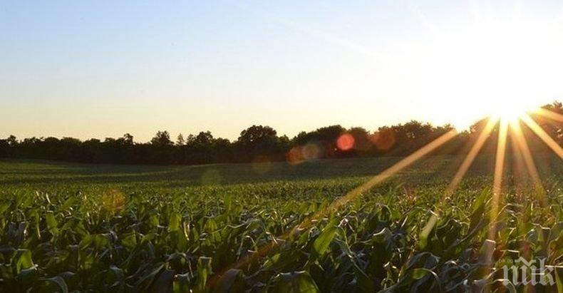 Изплащат 400 хил. лв. обезщетения на земеделците, пострадали от пожарите в Хасковско