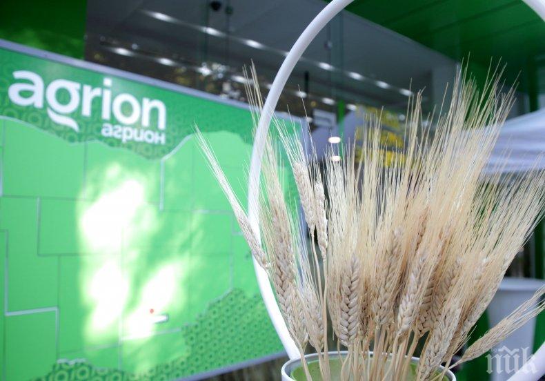 Вижте коя е мечтаната работа – без работно време и с добра комисиона