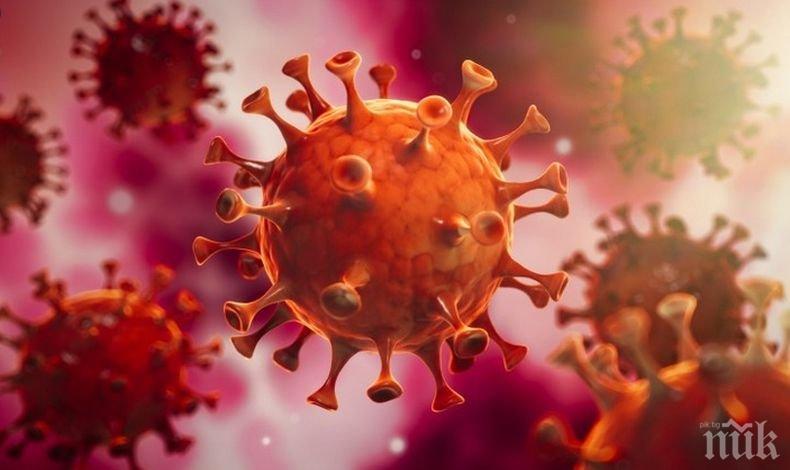 Жертвите на коронавируса в САЩ вече са над 190 000