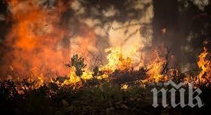 Над 1200 декара гори пламнаха над Девин