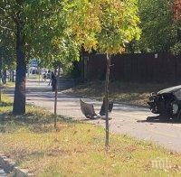 Шофьор с три години стаж се разби на възлово кръстовище в Пловдив