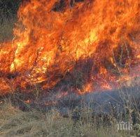 пожар лумна подбалканския път софия бургас