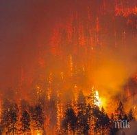 Властите в американския щат Орегон очакват  голям брой загинали в горските пожари