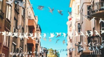 обособяват културен квартал софия квартал