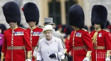 кралските гвардейци масово наркотици кръвта