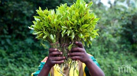 спипаха израелски момичета наркотик кхат млн лева летище варна