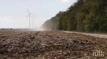 масово съхнене полезащитните горски пояси добруджа