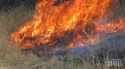 пожар лумна подбалканския път софия бургас