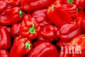 153 чувала чушки плячкосаха нива каварна