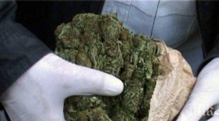 задържаха четири израелтянки контрабанда упойваща трева млн лева