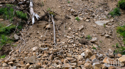 укрепват свлачището траката варна