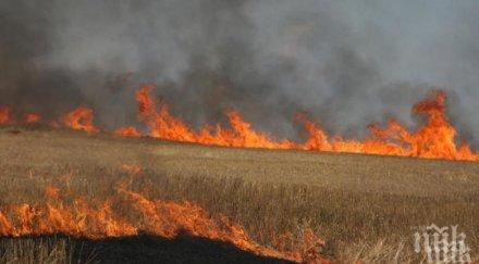 пожар изгоряха четири вили пловдивско