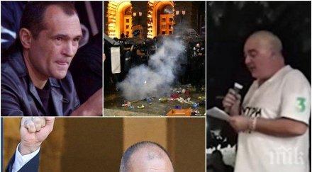 хит мрежата три бързи стъпки овладяване държавния преврат румен радев