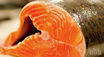 храни богати витамин